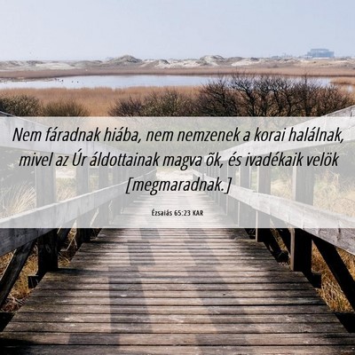 Picture 06 - Ézsaiás 65:23 KAR - Nem fáradnak hiába, nem nemzenek a korai - Bible Verse Picture