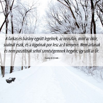 Picture 06 - Ézsaiás 65:25 KAR - A farkas és bárány együtt legelnek, az - Bible Verse Picture