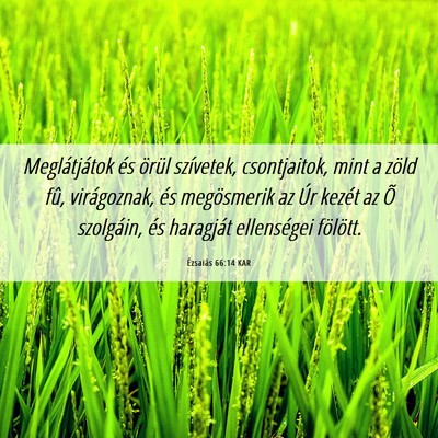 Picture 06 - Ézsaiás 66:14 KAR - Meglátjátok és örül szívetek, csontjaitok, - Bible Verse Picture