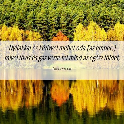 Picture 06 - Ézsaiás 7:24 KAR - Nyilakkal és kézívvel mehet oda [az ember,] - Bible Verse Picture