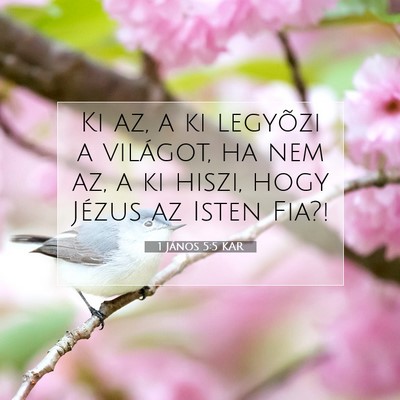 Picture 07 - 1 János 5:5 KAR - Ki az, a ki legyõzi a világot, ha nem az, a ki - Bible Verse Picture