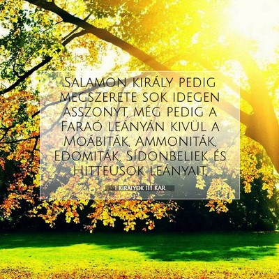 Picture 07 - 1 Királyok 11:1 KAR - Salamon király pedig megszerete sok idegen - Bible Verse Picture