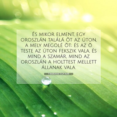 Picture 07 - 1 Királyok 13:24 KAR - És mikor elment, egy oroszlán találá õt az - Bible Verse Picture