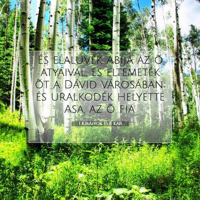 Picture 07 - 1 Királyok 15:8 KAR - És elaluvék Abija az õ atyáival, és - Bible Verse Picture