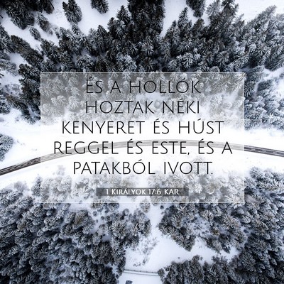 Picture 07 - 1 Királyok 17:6 KAR - És a hollók hoztak néki kenyeret és húst - Bible Verse Picture