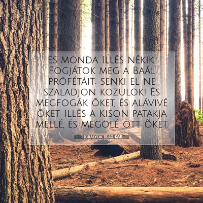 Picture 07 - 1 Királyok 18:40 KAR - És monda Illés nékik: Fogjátok meg a Baál - Bible Verse Picture
