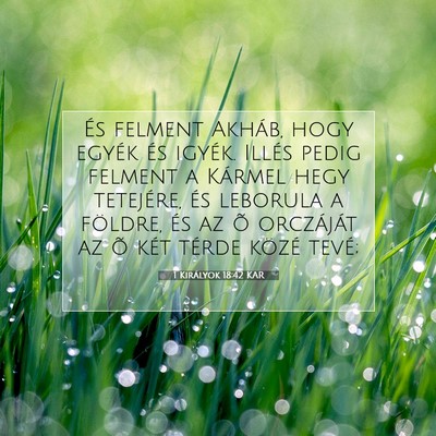 Picture 07 - 1 Királyok 18:42 KAR - És felment Akháb, hogy egyék és igyék. - Bible Verse Picture