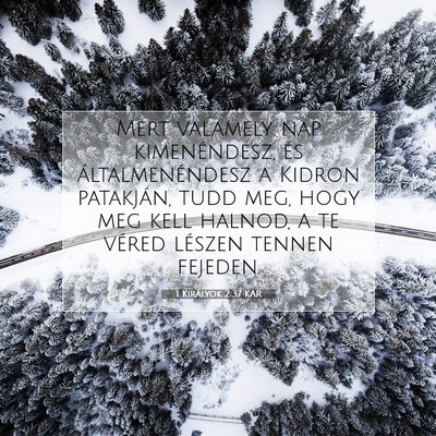 Picture 07 - 1 Királyok 2:37 KAR - Mert valamely nap kimenéndesz, és - Bible Verse Picture