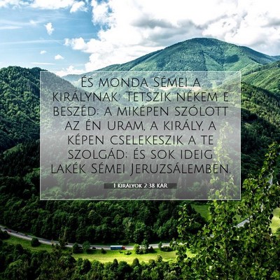 Picture 07 - 1 Királyok 2:38 KAR - És monda Sémei a királynak: Tetszik nékem e - Bible Verse Picture