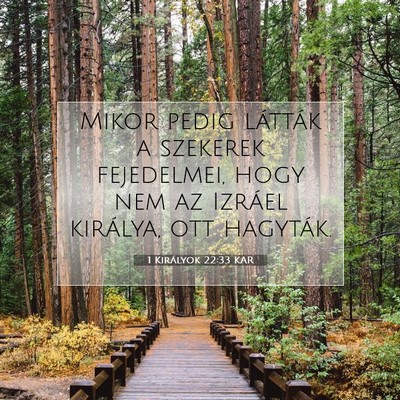 Picture 07 - 1 Királyok 22:33 KAR - Mikor pedig látták a szekerek fejedelmei, hogy - Bible Verse Picture