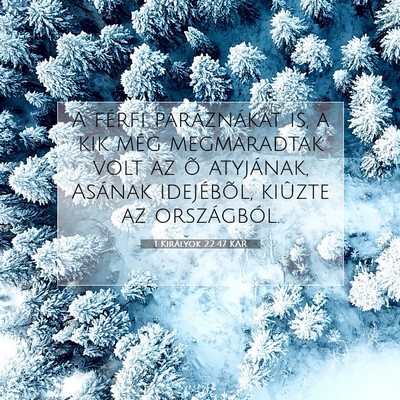 Picture 07 - 1 Királyok 22:47 KAR - A férfi paráznákat is, a kik még megmaradtak - Bible Verse Picture