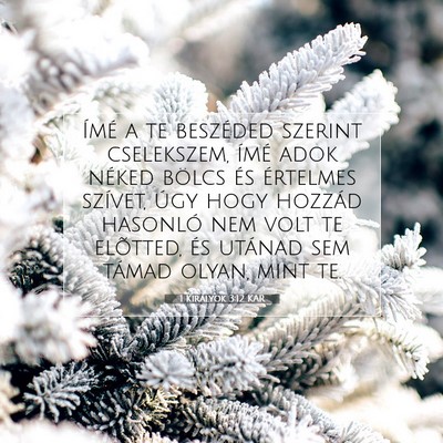 Picture 07 - 1 Királyok 3:12 KAR - Ímé a te beszéded szerint cselekszem, ímé - Bible Verse Picture
