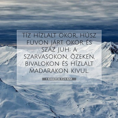 Picture 07 - 1 Királyok 4:23 KAR - Tíz hízlalt ökör, húsz füvön járt ökör - Bible Verse Picture