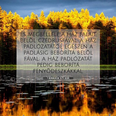 Picture 07 - 1 Királyok 6:15 KAR - És megbéllelé a ház falait belõl - Bible Verse Picture