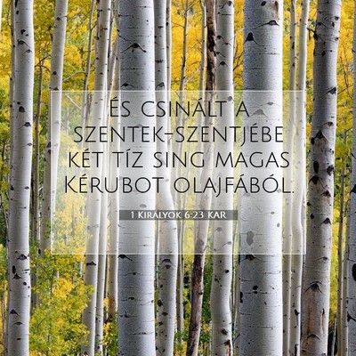Picture 07 - 1 Királyok 6:23 KAR - És csinált a szentek-szentjébe két tíz sing - Bible Verse Picture