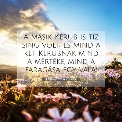 Picture 07 - 1 Királyok 6:25 KAR - A másik Kérub is tíz sing volt; és mind a - Bible Verse Picture