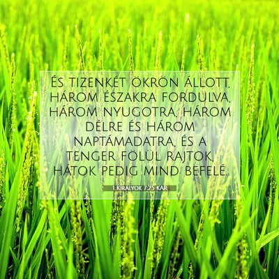 Picture 07 - 1 Királyok 7:25 KAR - És tizenkét ökrön állott, három északra - Bible Verse Picture