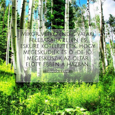 Picture 07 - 1 Királyok 8:31 KAR - Mikor vétkezéndik valaki felebarátja ellen, - Bible Verse Picture