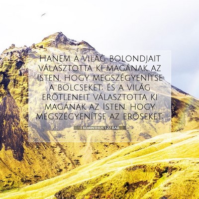 Picture 07 - 1 Korinthus 1:27 KAR - Hanem a világ bolondjait választotta ki - Bible Verse Picture