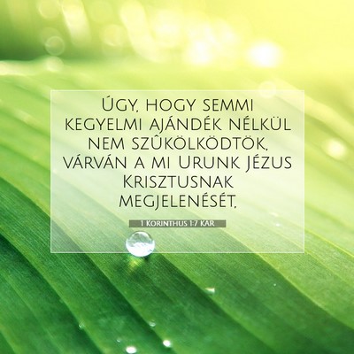 Picture 07 - 1 Korinthus 1:7 KAR - Úgy, hogy semmi kegyelmi ajándék nélkül nem - Bible Verse Picture