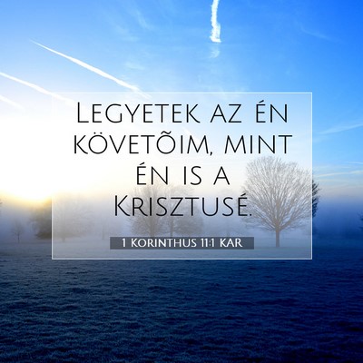 Picture 07 - 1 Korinthus 11:1 KAR - Legyetek az én követõim, mint én is a - Bible Verse Picture