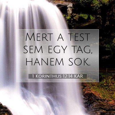 Picture 07 - 1 Korinthus 12:14 KAR - Mert a test sem egy tag, hanem - Bible Verse Picture