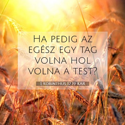 Picture 07 - 1 Korinthus 12:19 KAR - Ha pedig az egész egy tag volna hol volna a - Bible Verse Picture