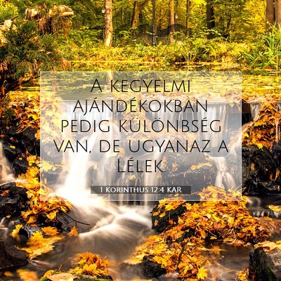 Picture 07 - 1 Korinthus 12:4 KAR - A kegyelmi ajándékokban pedig különbség van, - Bible Verse Picture