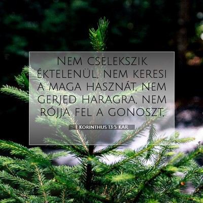 Picture 07 - 1 Korinthus 13:5 KAR - Nem cselekszik éktelenül, nem keresi a maga - Bible Verse Picture