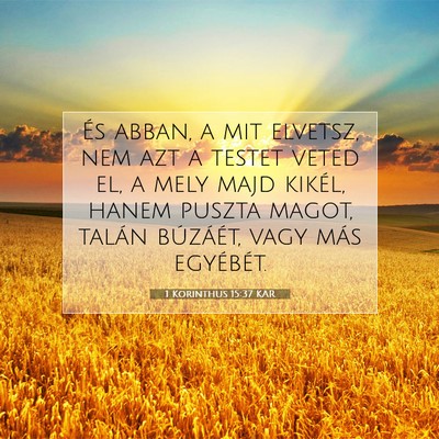Picture 07 - 1 Korinthus 15:37 KAR - És abban, a mit elvetsz, nem azt a testet veted - Bible Verse Picture