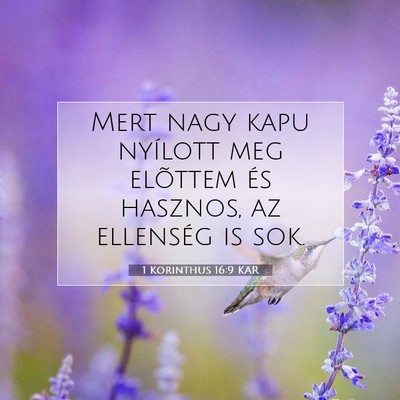 Picture 07 - 1 Korinthus 16:9 KAR - Mert nagy kapu nyílott meg elõttem és hasznos, - Bible Verse Picture