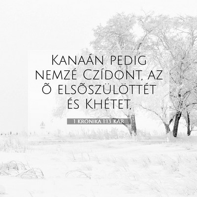 Picture 07 - 1 Krónika 1:13 KAR - Kanaán pedig nemzé Czídont, az õ - Bible Verse Picture