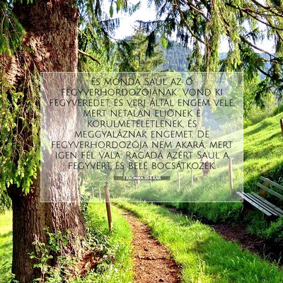 Picture 07 - 1 Krónika 10:4 KAR - És monda Saul az õ fegyverhordozójának: Vond - Bible Verse Picture