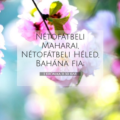 Picture 07 - 1 Krónika 11:30 KAR - Nétofátbeli Maharai, Nétofátbeli Héled, - Bible Verse Picture