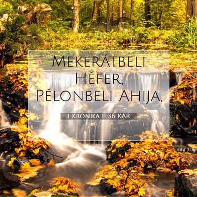 Picture 07 - 1 Krónika 11:36 KAR - Mekerátbeli Héfer, Pélonbeli - Bible Verse Picture