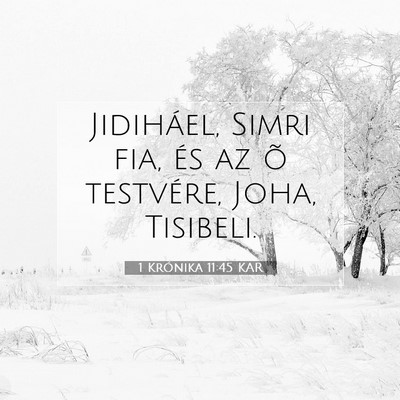 Picture 07 - 1 Krónika 11:45 KAR - Jidiháel, Simri fia, és az õ testvére, Joha, - Bible Verse Picture