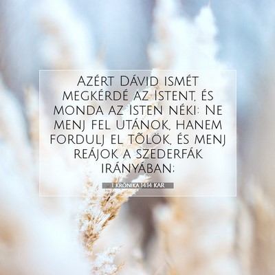 Picture 07 - 1 Krónika 14:14 KAR - Azért Dávid ismét megkérdé az Istent, és - Bible Verse Picture