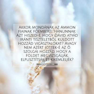 Picture 07 - 1 Krónika 19:3 KAR - Akkor mondának az Ammon fiainak fõemberei - Bible Verse Picture