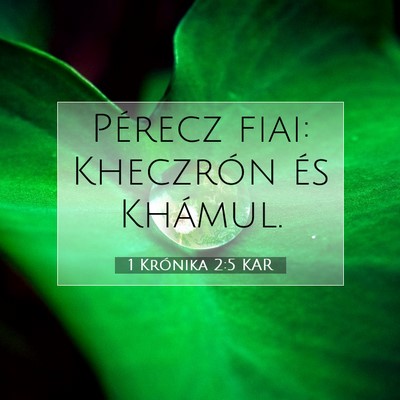 Picture 07 - 1 Krónika 2:5 KAR - Pérecz fiai: Kheczrón és - Bible Verse Picture