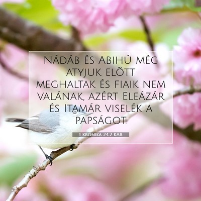 Picture 07 - 1 Krónika 24:2 KAR - Nádáb és Abihú még atyjuk elõtt meghaltak - Bible Verse Picture