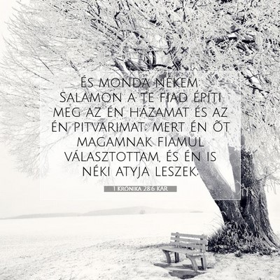 Picture 07 - 1 Krónika 28:6 KAR - És monda nékem: Salamon a te fiad építi meg - Bible Verse Picture