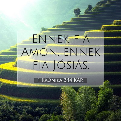 Picture 07 - 1 Krónika 3:14 KAR - Ennek fia Amon, ennek fia - Bible Verse Picture