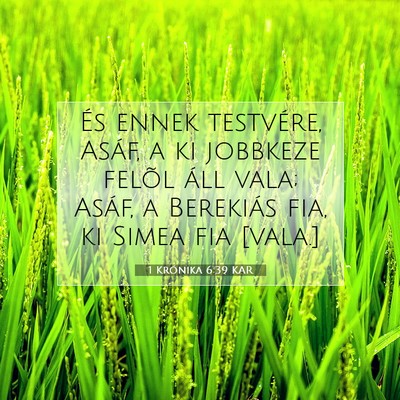 Picture 07 - 1 Krónika 6:39 KAR - És ennek testvére, Asáf, a ki jobbkeze felõl - Bible Verse Picture