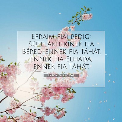 Picture 07 - 1 Krónika 7:20 KAR - Efraim fiai pedig: Sútelákh, kinek fia Béred, - Bible Verse Picture