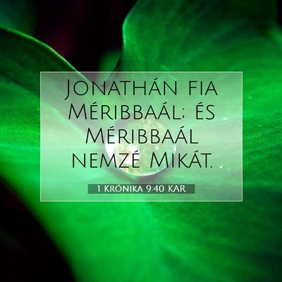 Picture 07 - 1 Krónika 9:40 KAR - Jonathán fia Méribbaál; és Méribbaál nemzé - Bible Verse Picture