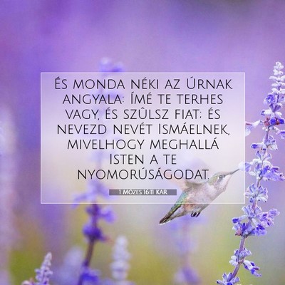Picture 07 - 1 Mózes 16:11 KAR - És monda néki az Úrnak angyala: Ímé te - Bible Verse Picture
