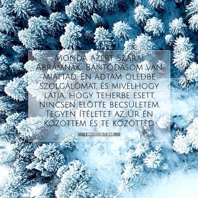 Picture 07 - 1 Mózes 16:5 KAR - Monda azért Szárai Ábrámnak: Bántódásom - Bible Verse Picture