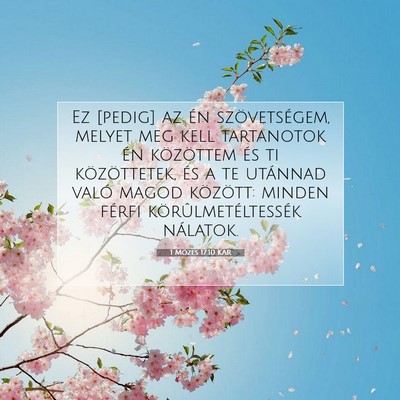 Picture 07 - 1 Mózes 17:10 KAR - Ez [pedig] az én szövetségem, melyet meg kell - Bible Verse Picture