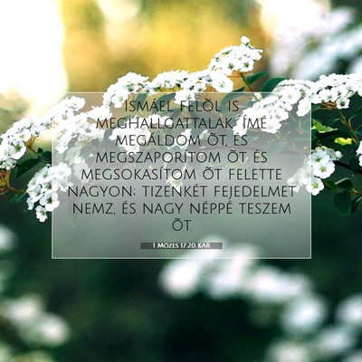 Picture 07 - 1 Mózes 17:20 KAR - Ismáel felõl is meghallgattalak: Ímé - Bible Verse Picture