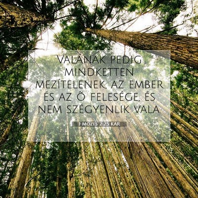 Picture 07 - 1 Mózes 2:25 KAR - Valának pedig mindketten mezítelenek, az ember - Bible Verse Picture